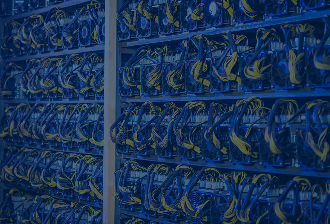 mining-farm-doge mining-farm-doge